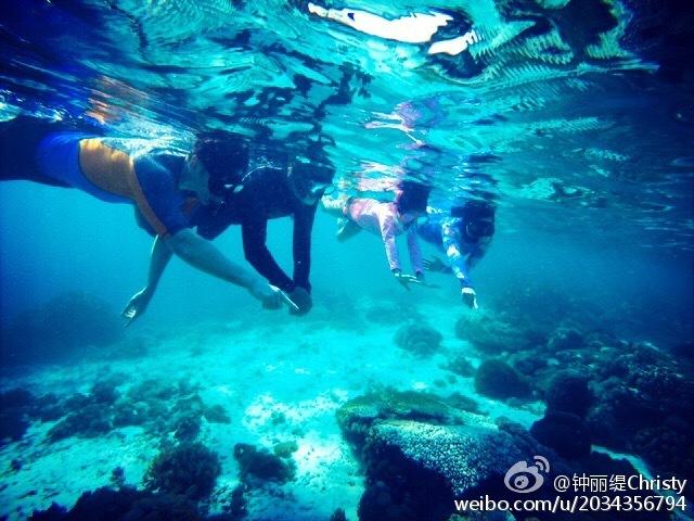 动物帮帮忙保卫家园